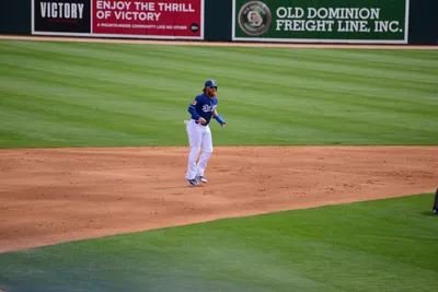 DSC_1527 (Large).JPG